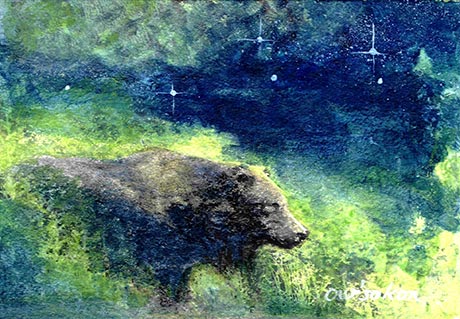 Black bear in the midst of high grasses under a starry sky.