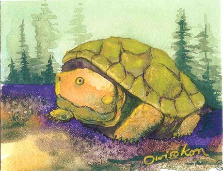 Serpentine turtle in front of a forest.