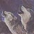 Thumbnail of Three Wolves