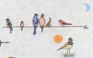 Les oiseaux de Jacques Cartier (détail)