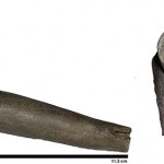 Figurative pipe, Mandeville site